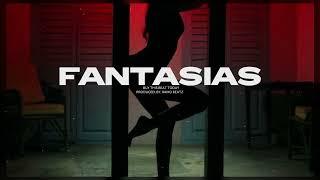 [FREE] "FANTASIAS"  | Trap Instrumental Sensual 2022 | Pista De Trap Sensual (Prod. Raiko Beatz)