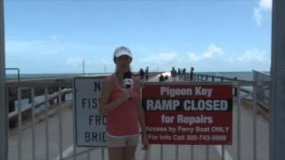 Program Director of Marathon Florida TV (TV 88) at the 7 Mile Bridge in Marathon, Florida