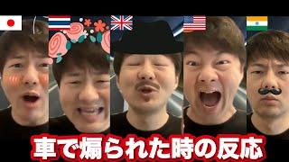 車で煽られている時　各国反応の違い６選