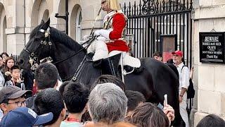 Guard Charges Them With His Horse, Watch What Happens