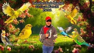 Lalukhet Exotic Birds Market 22-12-24 Karachi Latest Updates | طوطوں کے انڈے ایسپورٹ ہورہے ہیں