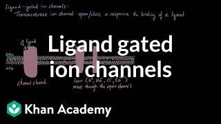 Ligand Gated Ion Channels | Nervous system physiology | NCLEX-RN | Khan Academy