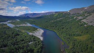 Река Собь, Полярный Урал. The Sob River, The Polar Urals.