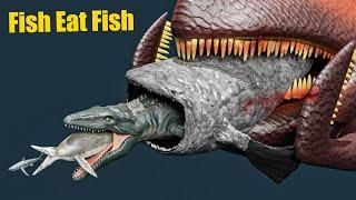 Fish eat Fish | Comparison | 3D animation
