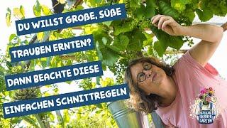 Sommerschnitt an Weinreben - für große, süße Trauben und gesunde Blätter I der kleine Horrorgarten