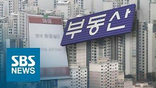 규제 덜한 9억 ↓ 아파트에 '풍선효과?'…실제로는 잠잠 / SBS