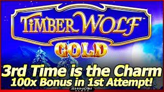 TimberWolf Gold Slot Machine - Big Win Free Spins Bonus!  3rd Time Is The Charm, Live Play and Bonus