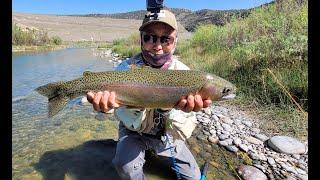 San Juan River No BS  Talk Fishing Report Real Action June 2024