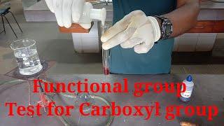Test for carboxyl group Functional group class 12 chemistry practical file