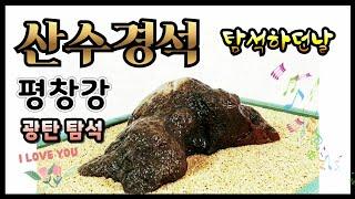 수석탐석 평창강 *산수경석* 하던날