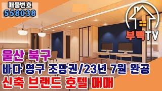 [호텔매매] 울산 북구 신축 브랜드 호텔매매/건축중/영구 바다 조망권/스위트룸/카라반룸/히노끼 완비