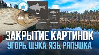 Высиживаем ТРОФЕЕВ на Старом Остроге и Куори ● Русская рыбалка 4 ● Перчик РР4