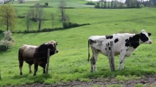 LPO Loire - La nature s'invite à la ferme - Ulule