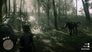 Whispers in Roanoke Ridge -RDR2