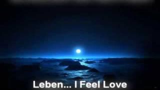 SCHILLER mit HEPPNER - Leben... I Feel You (Drolax remix).avi