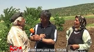 Hüseyin Amca'nın Eşi Fındığı Bulması