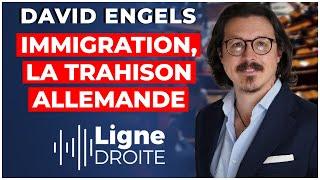 "La plus grande cause de l'immigration de masse se trouve à Berlin !" - David Engels