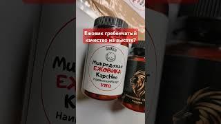 Ежовик гребенчатый качество на высоте? #ежовик #ноотропы #биохакинг #пп