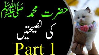 Hazrat Muhammad (S.A.W) ki Naseeyatain Part 1|  Adab Mini