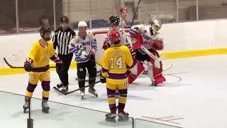 Connor Bedard stoned by Michael Harroch and the Purple Cobras NSIHLA roller hockey highlights