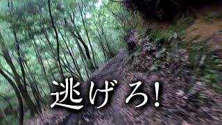 閲覧注意！【恐怖の廃村探索】過去に一度は復活した集落が再び廃集落に【下皆】和歌山