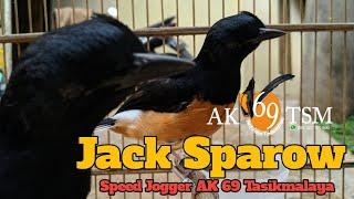 Jack Sparow Baru Belajar Bunyi - Speed Jogger AK 69 Tasikmalaya