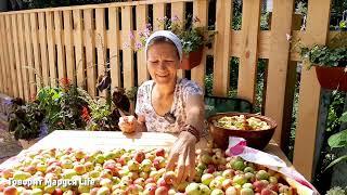 ЗАВАЛИЛО ЯБЛОКАМИ 80 лет, а выглядит как... Life in the village 11 августа 2022