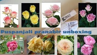 Puspanjali pranabir rose unboxing /David Austin rose /Climbing roses/Dutch roses