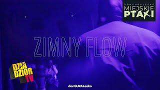 DGE - Zimny Flow (prod. Look.out, skrecze DJ Soina) [MIEJSKIE PTAKI]