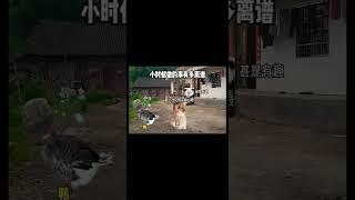 小时候做的事有多离谱 #猫meme小剧场 #喵哥是萌新 #搞笑 #娱乐评论大赏