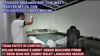 DONE UPGRADE MEKANIS RDF MASTER MT 10 TON | PEKERJAAN KOLAM KOI 22 TON 4 THN LALU SURABAYA