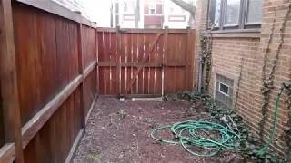 Rat Proofing of Chicago Yard- Before Job