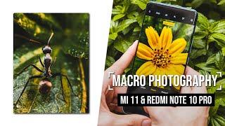 Professional Macro Photography with the Xiaomi Mi 11 & Redmi Note 10 Pro!