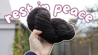 Let's spin some zwartbles wool into yarn to commemorate a dearly beloved pet sheep