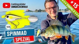 Gezielt auf große BARSCHE – 16g SpinMad Jigmaster 