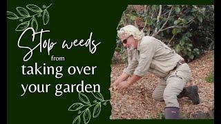 Stop Weeds from Taking Over Your Garden