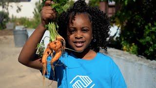 How this San Francisco Farm Turned Toxic Soil into an Urban Oasis - America's Heartland