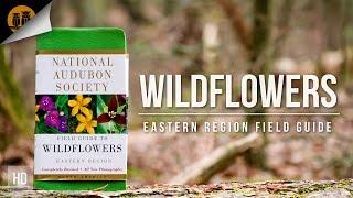 Field Guides | Wildflowers - Eastern USA | National Audubon Society | Field Review