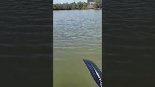 очередная вылазка на лодке