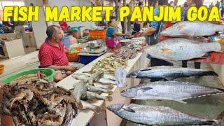 Fish Market Panjim Goa Seafood Market North Goa | Vlog