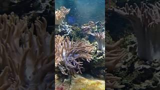 Морские просторы