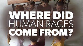 Where Did Human Races Come From? | Creation Questions