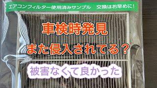 またまた侵入　車検時に発見多すぎ！