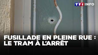 Fusillade en pleine rue à Avignon : le tram à l'arrêt｜TF1 INFO