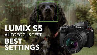 Lumix S5 Autofocus Test & BEST SETTINGS! Panasonic Animal Eye AF in AFC - Footage Test 20-60mm Lens