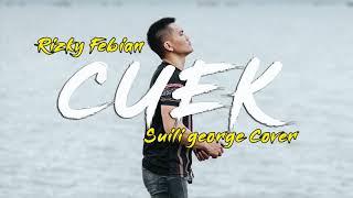 Cuek - Rizky Febian (Suili George Cover)