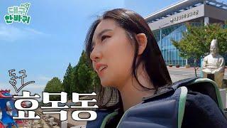 최초, 최고 수식어가 다 붙는! 대구 동구 효목동! | 대구한바퀴 EP.2