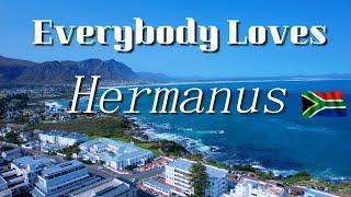 Everybody Loves Hermanus  & Whale Watching, But There's a Lot More to Do - Part 1