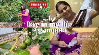 Nailpolish remover நல்லதா use பண்ணுங்க | DIML | Unpacking Skincare  | Gampola Vlog ️| Shashmi