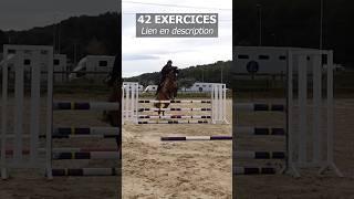 Équitation exercices saut d'obstacles #cheval #horse #equitation #jumping